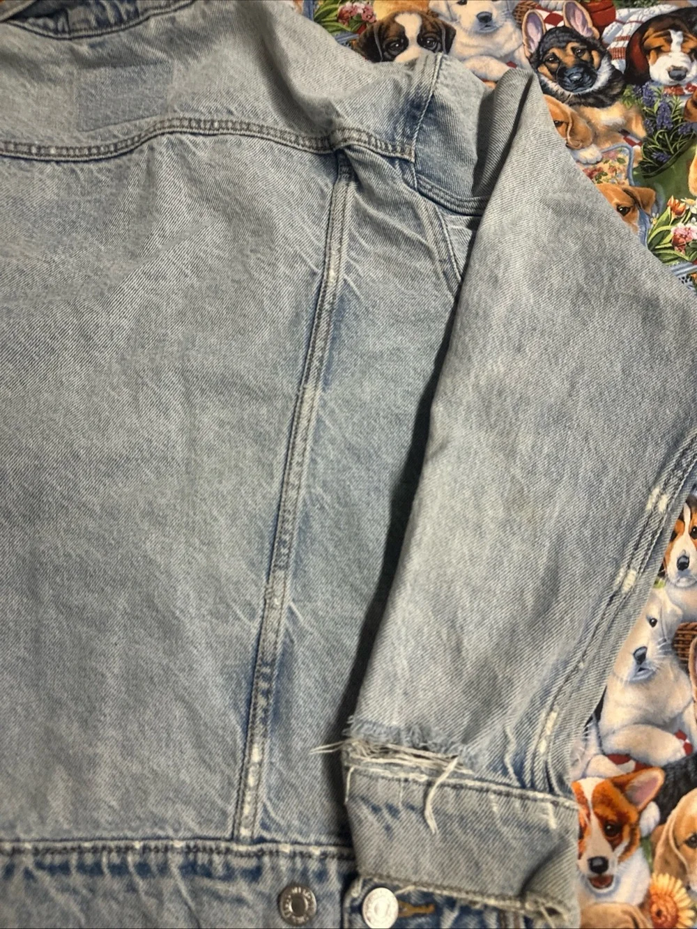 Levis authentic levi